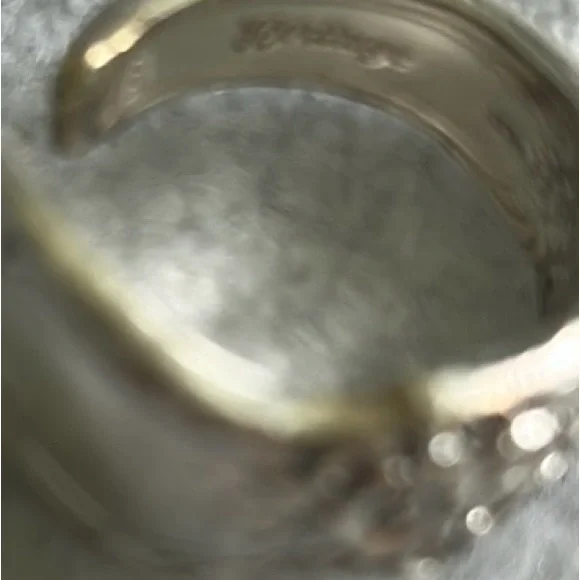 Oneida Stainless Steel Vintage-Inspired Thumb Ring - Picture 12 of 16